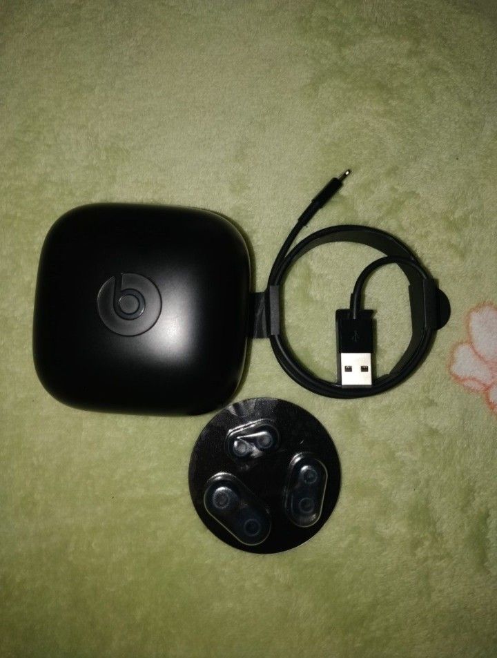 Beats Powerbeats Pro Navy Blue Used Ear Phones