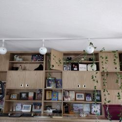 Custom Made Bookcases/Cabinets/Storage for Home/Office/Stores