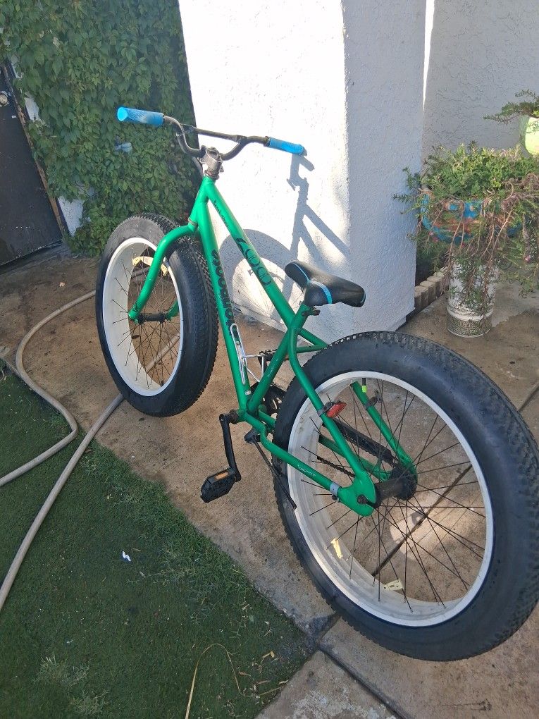 Mongoose Beast