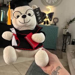 Graduation Teddy Bear 