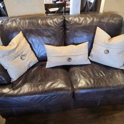 COJINES DE PLUMA DE GANZO