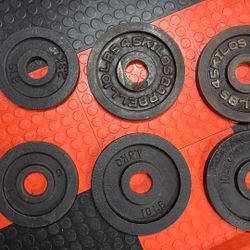 Olympic Dumbbells And 50lb Of Plates 
