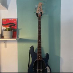 Sterling Bass With Fender Bass Amp