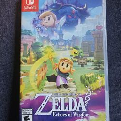 Zelda Echoes Of Wisdom