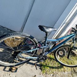 Adult Bicycle $40