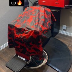 Professional Barber Chair