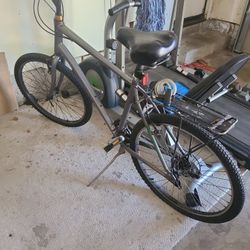 Giant Bike