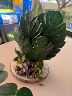 Reptile party or Dinosaur