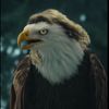 AmbitiousEagle 