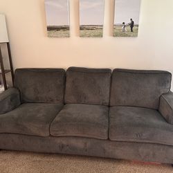Grey Couch $100