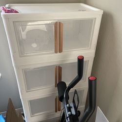 Purse holder or shoe organizer