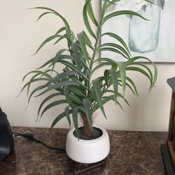 Fake Plant