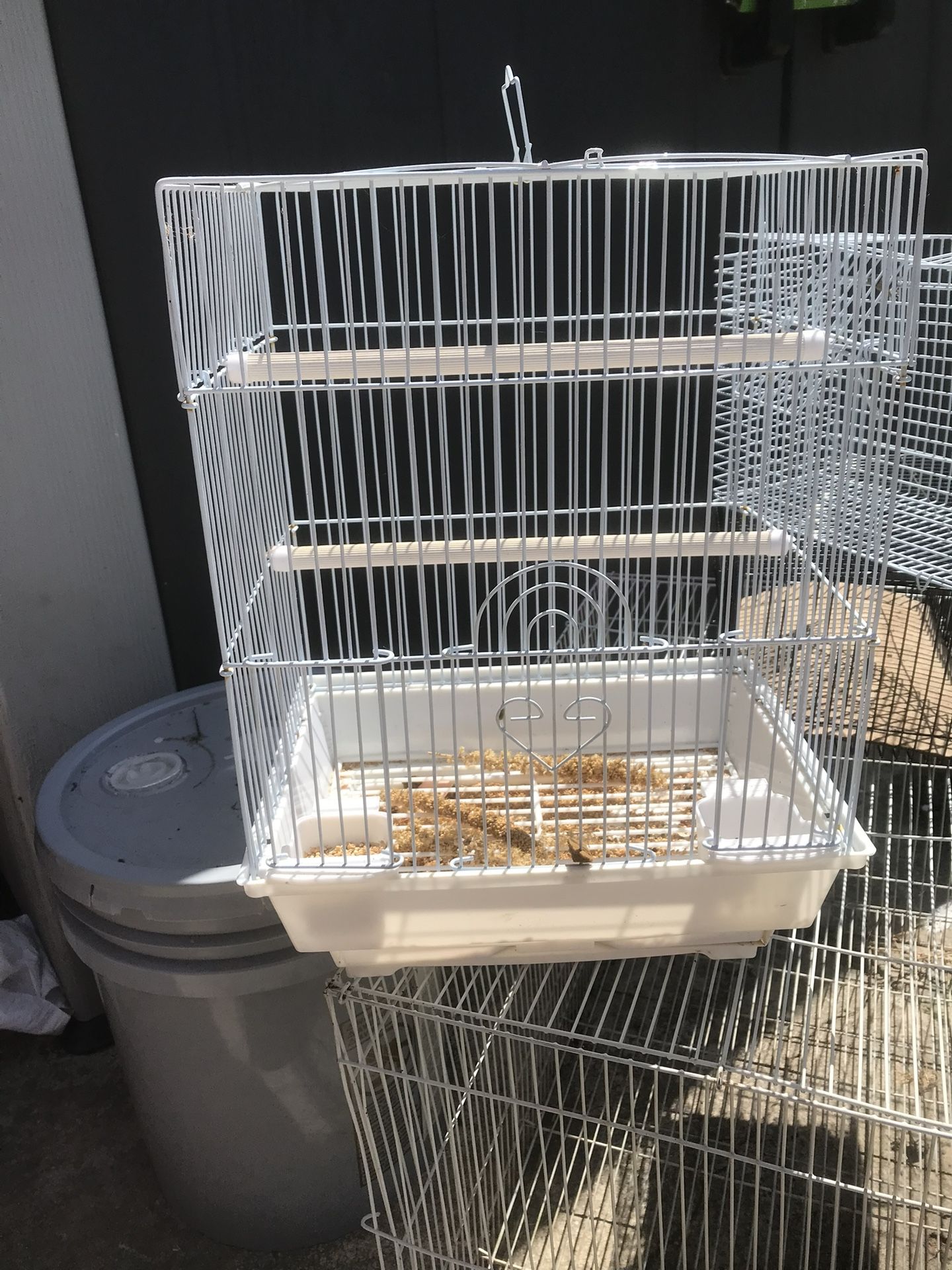 Bird Cage