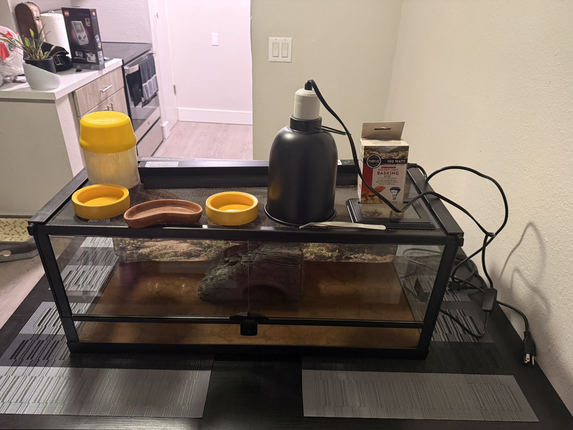 Bearded Dragon Starter Setup