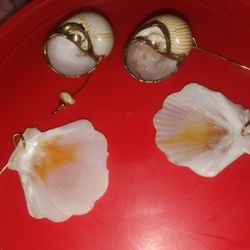 Shell Earrings