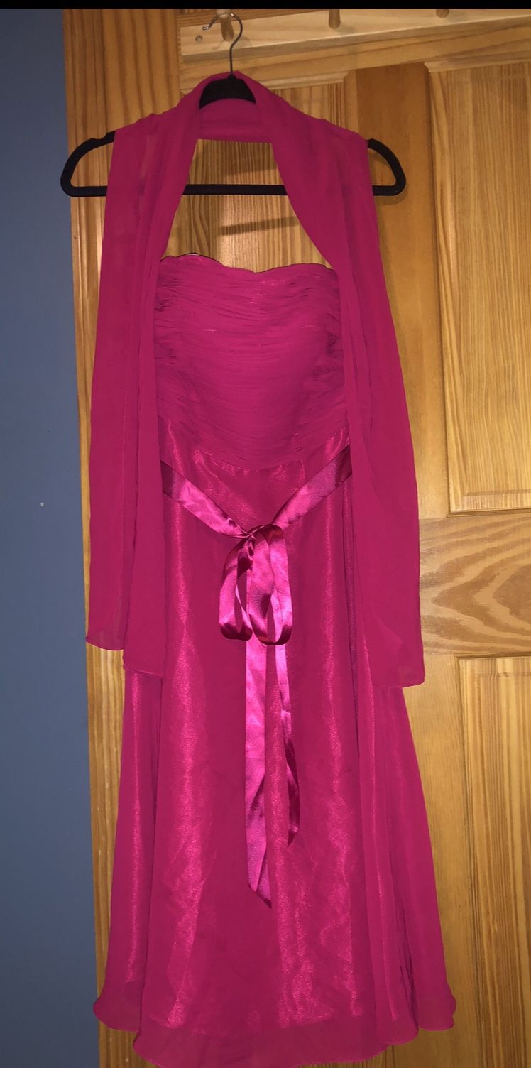 Elegant Fuchsia Dress. (Size 6/S)