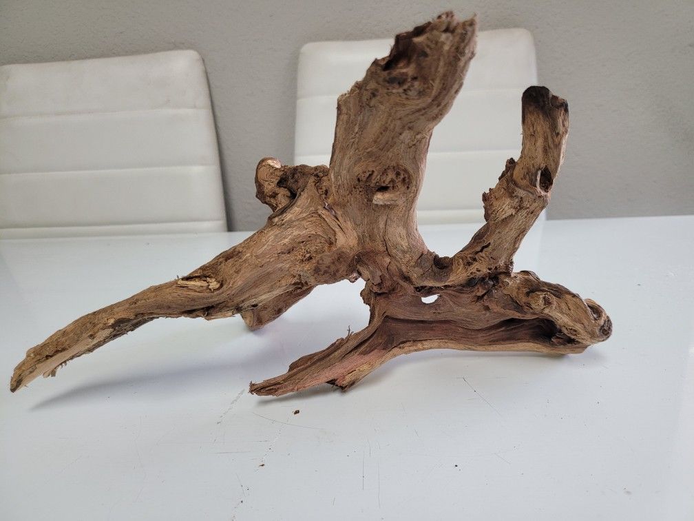 Driftwood