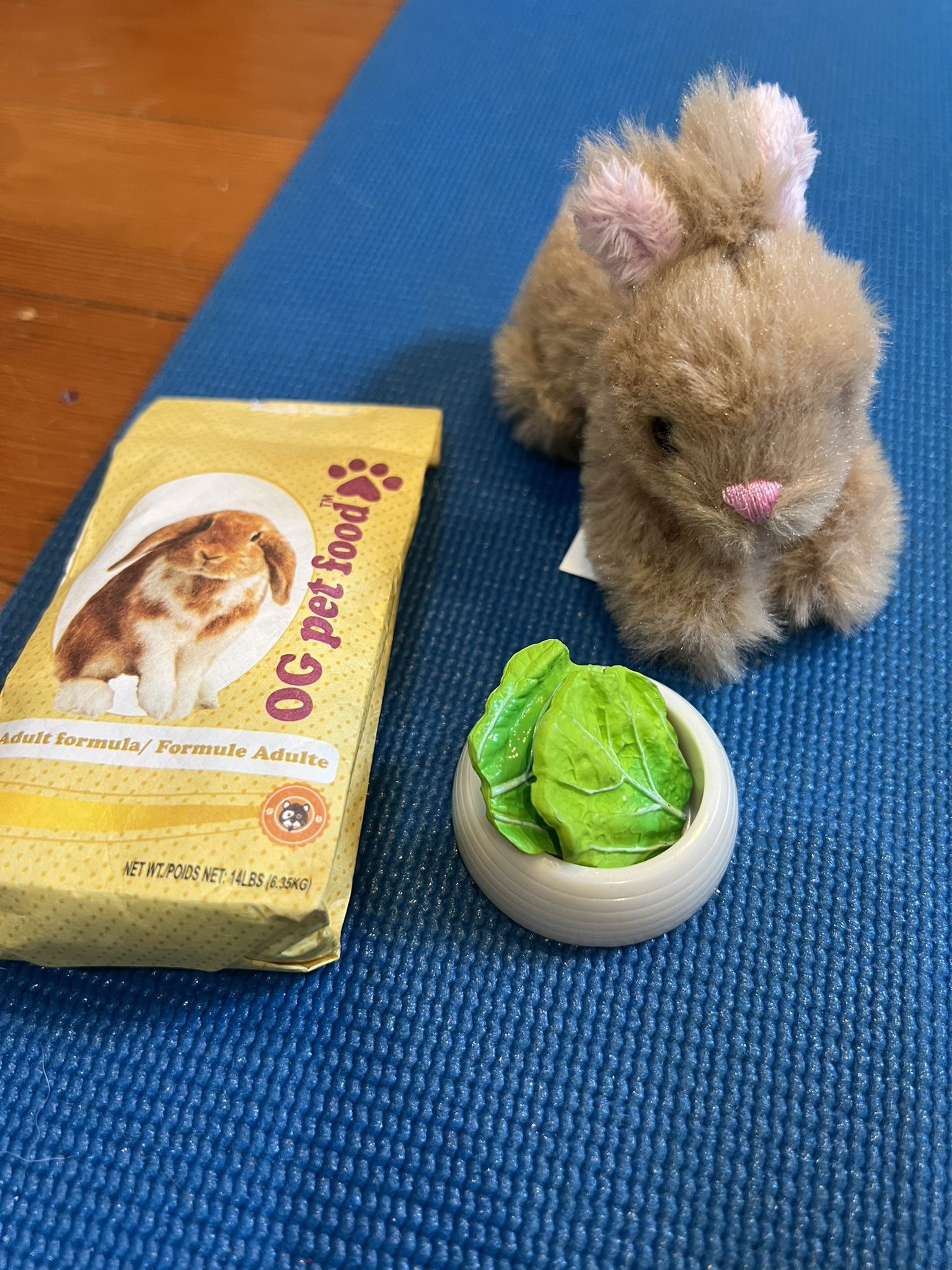 American Girl Doll Rabbit Set