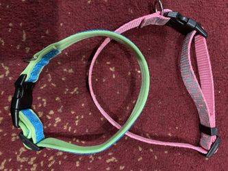 Dog collars