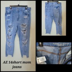 AE Mom Light Jean
