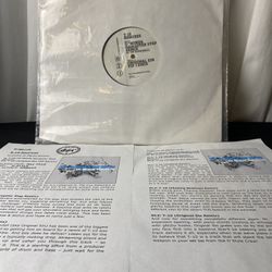 D*Minds T-10 Gangster Step Remix Original Sin VIP Vinyl 12” Promo 2010 DSR023 (Rare First Press!) White Label