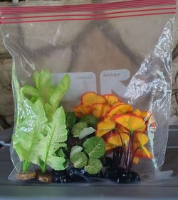 Aquarium Plants Bundle
