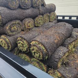 New Sod  . Fresh Sod 