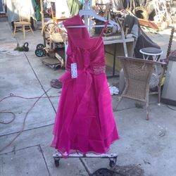 Shanil Dress