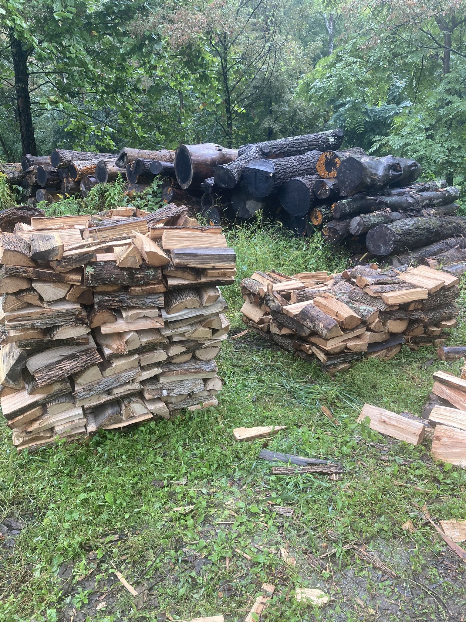 Seasoned Firewood