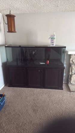 Fish tank with stank