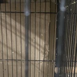 chicken cage 