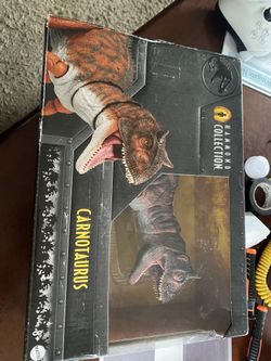 Hammond collection (carnotarus)