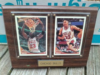 Bulls