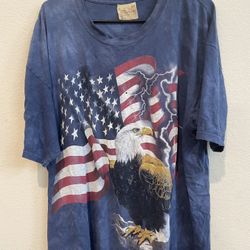 Vintage 2001 mountain nature tee Eagle with USA flag size 2XL
