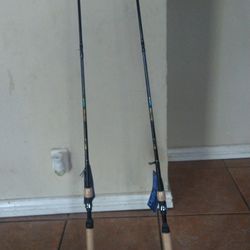 Ugly Still Baitcasting Rod 