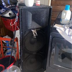 Peavey Speaker
