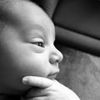Kaden Lawhon