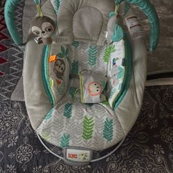 Baby Bouncer 