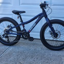 20" Rei Co-op disc 