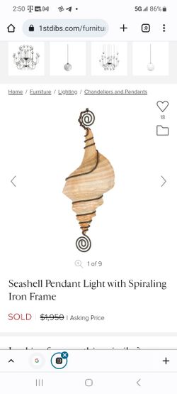 Shell Light Hanging Light