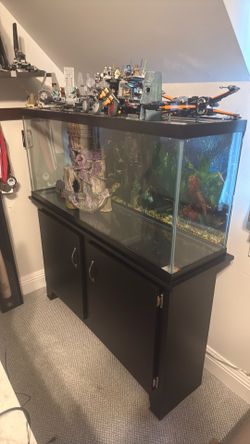 Fish tank and stand
