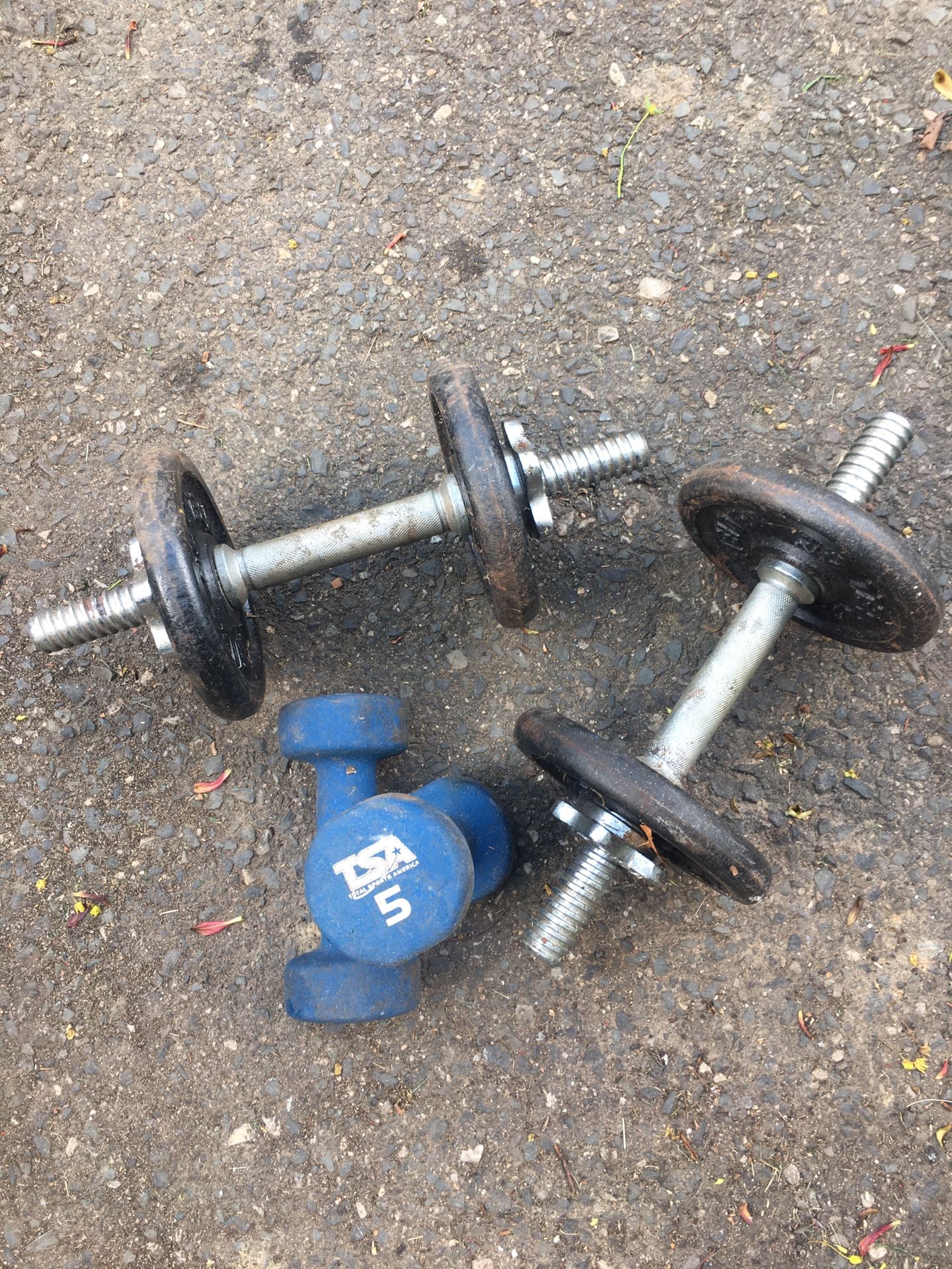 Dumbbell Dumb Bell Lifting Sets