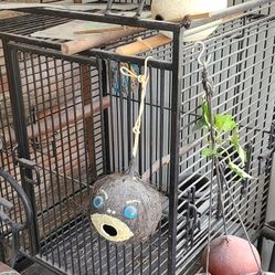 Bird Parrot Cage