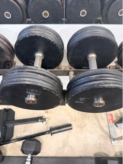 60 lb dumbbells