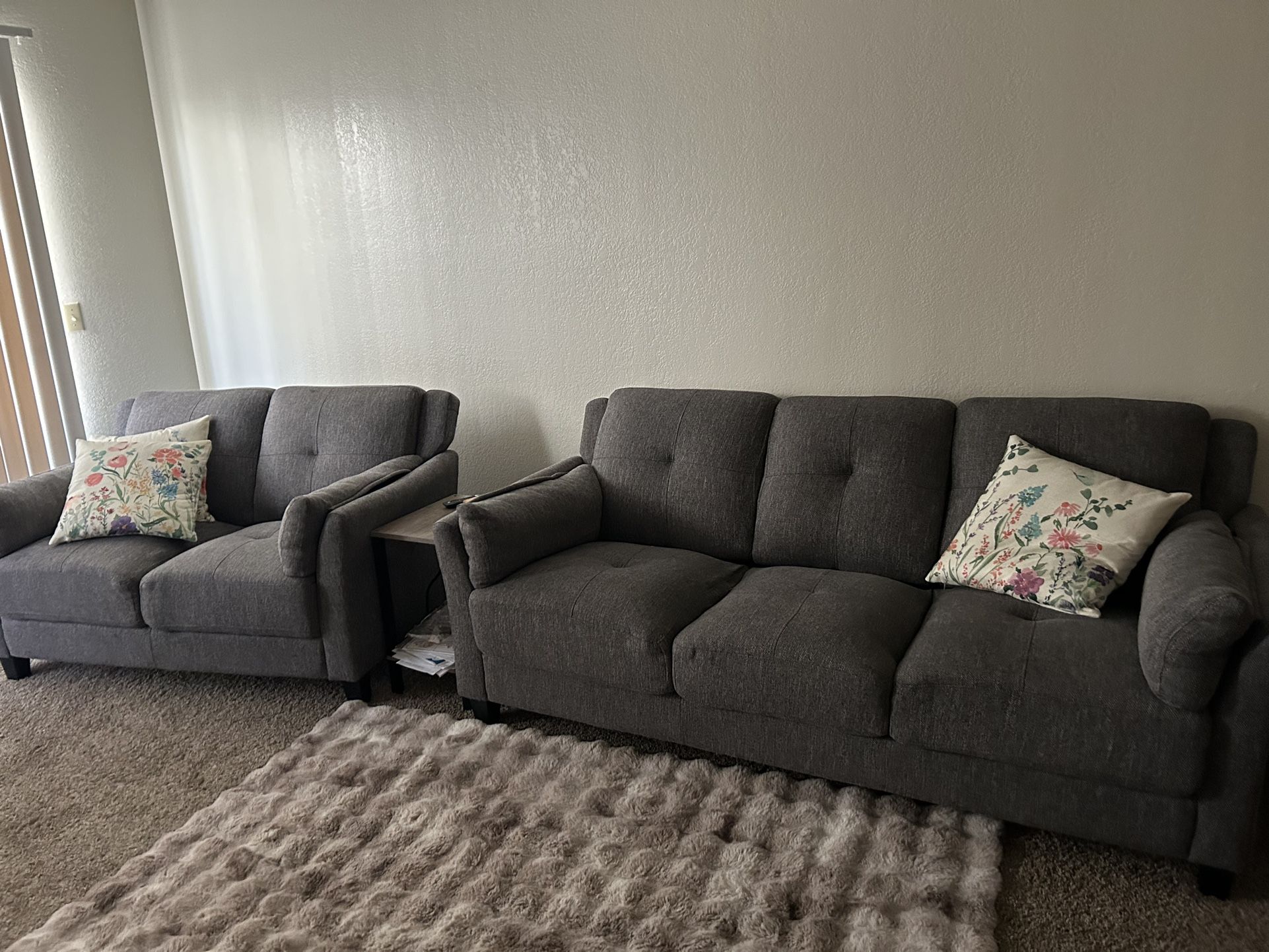Two Couches 