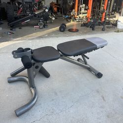 Bench/ Preacher Curl