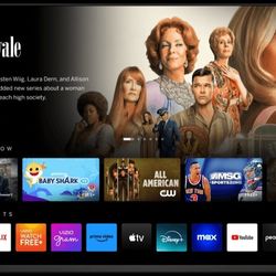 65 Inch VIZIO SMART TV 