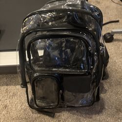 Large Clear Backpack