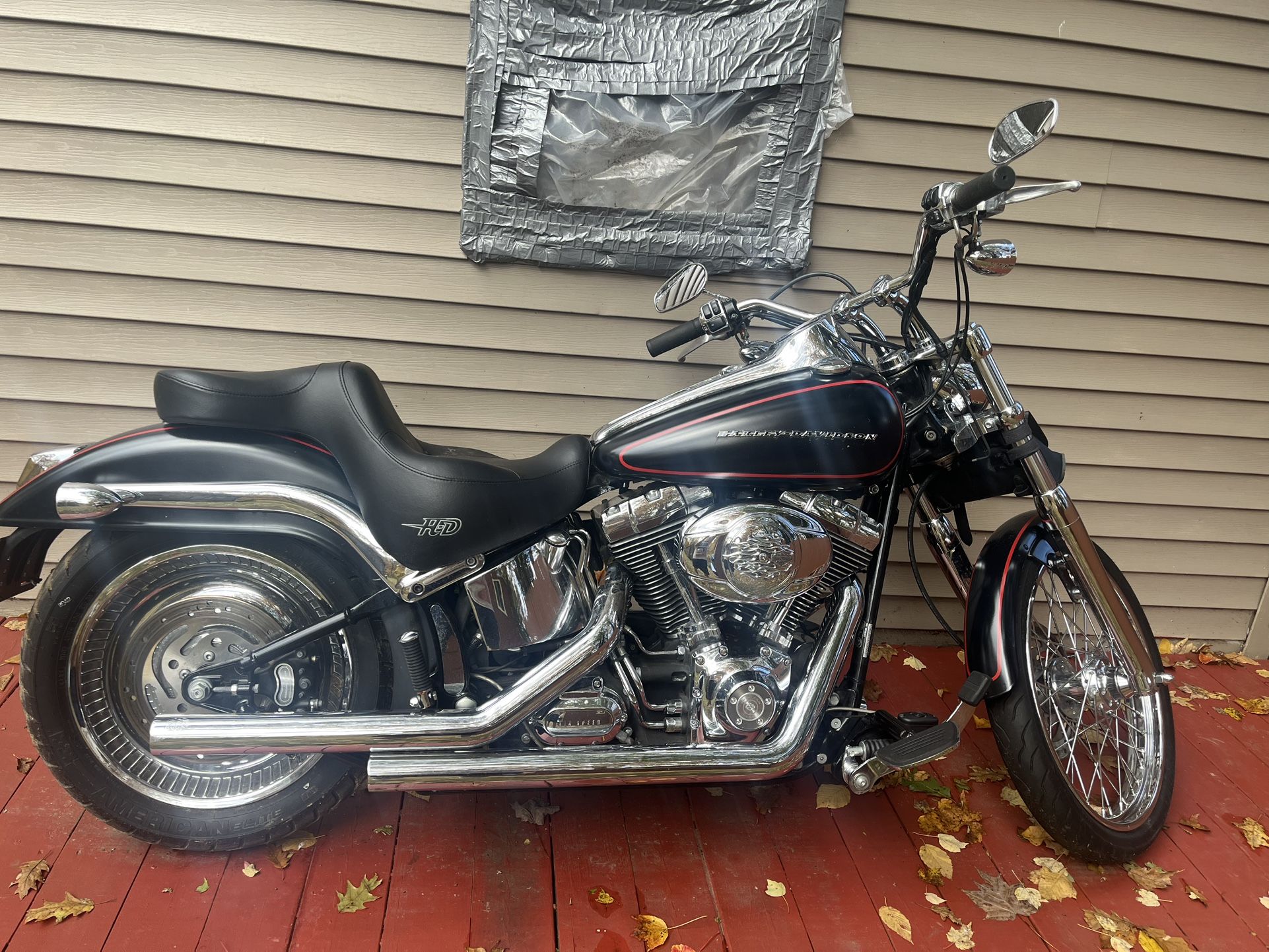 2007 Harley Davidson 883 custom/softail