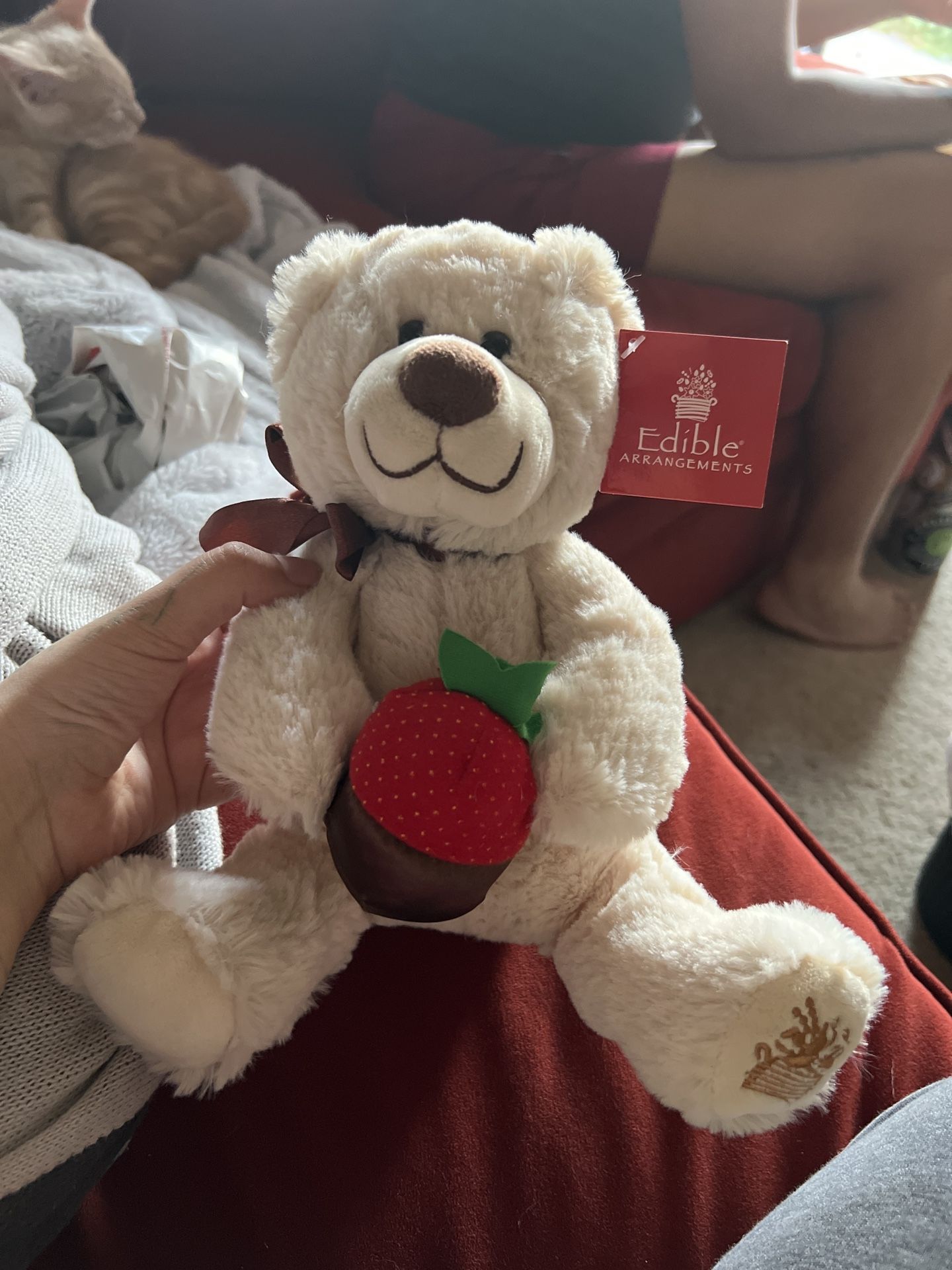 Edible Arrangements Teddy Bear w/ Chocolate Strawberry